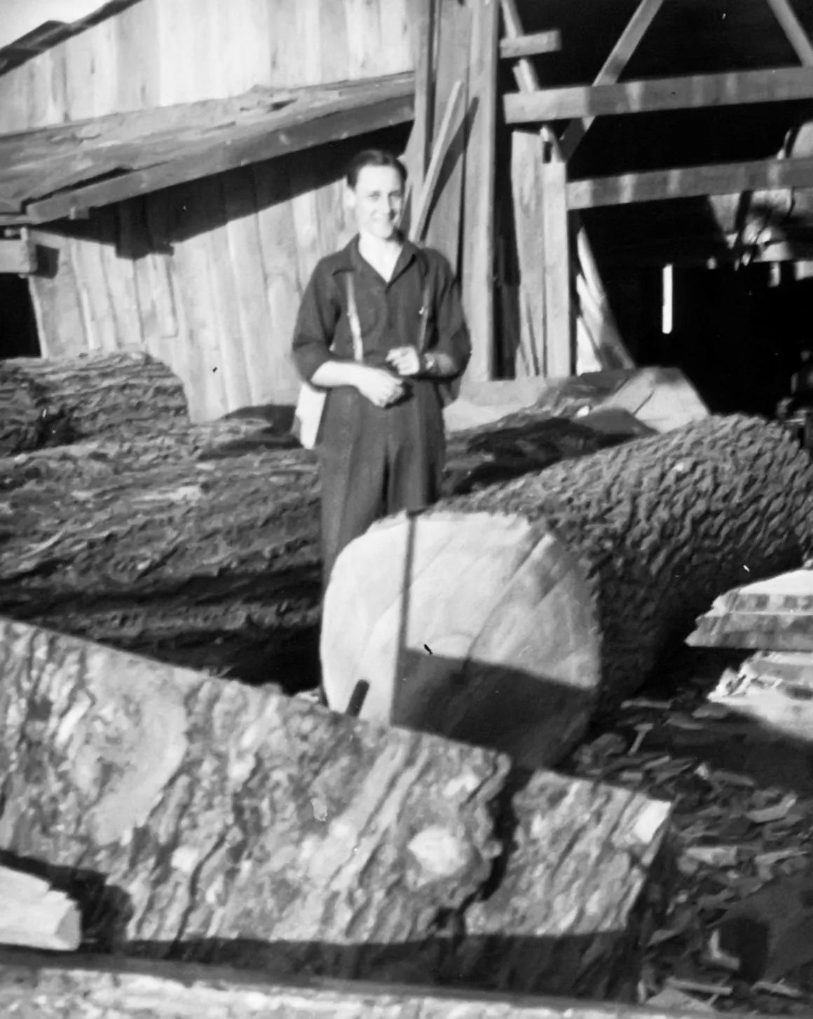 1920s Timeline Photo